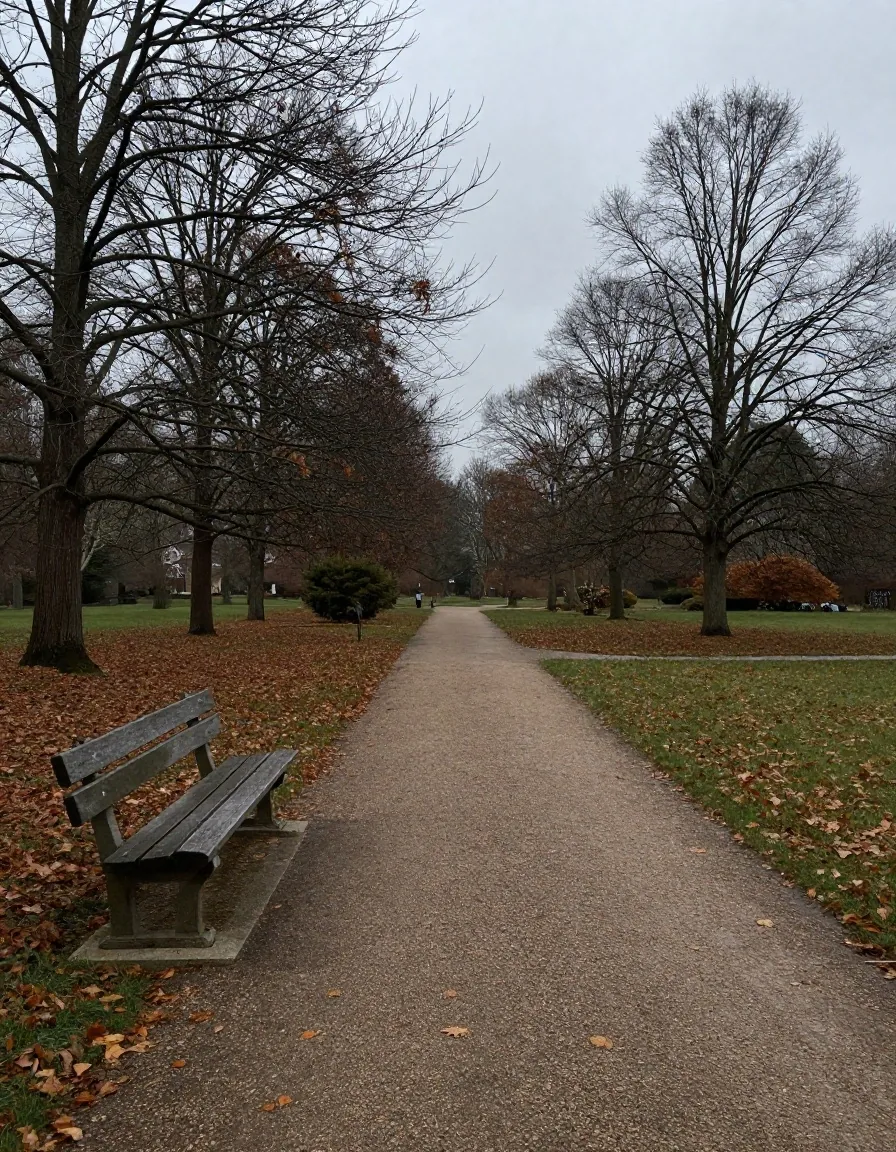 Banc de parc en bois sous un ciel gris et calme